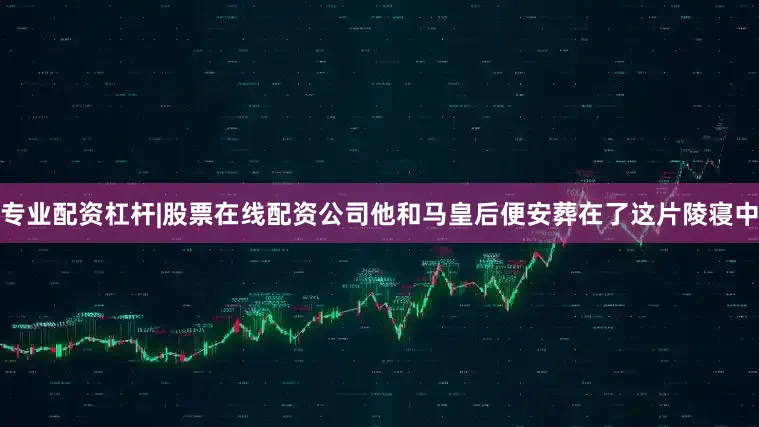 专业配资杠杆|股票在线配资公司他和马皇后便安葬在了这片陵寝中