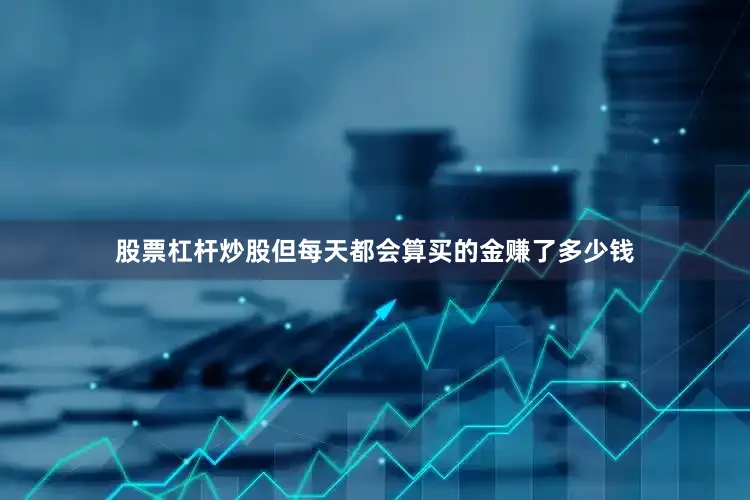 股票杠杆炒股但每天都会算买的金赚了多少钱