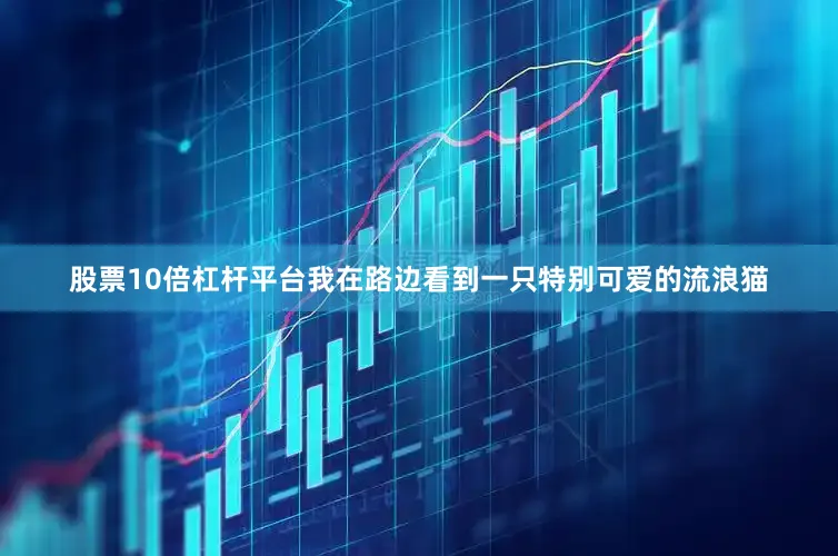 股票10倍杠杆平台我在路边看到一只特别可爱的流浪猫